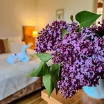 Insel-hof Hotel-garni Hotel Reichenau