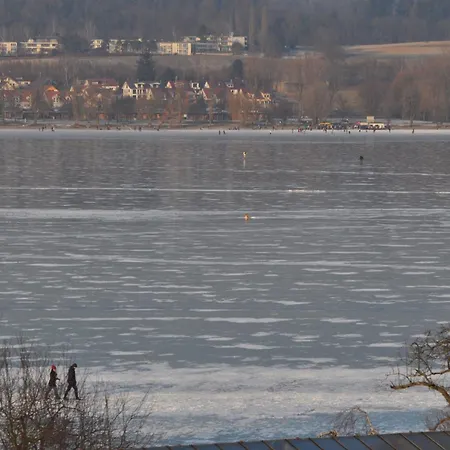 Insel-hof Hotel-garni Hotel Reichenau