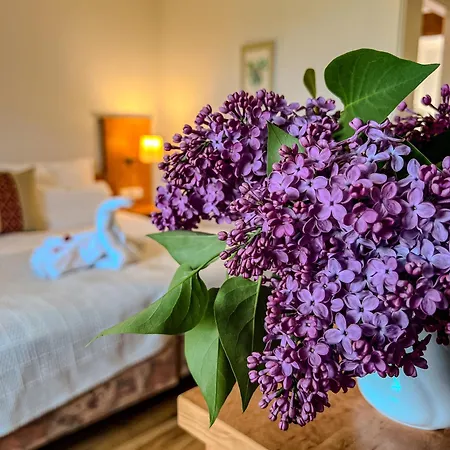 Insel-hof Hotel-garni 호텔 라이헤나우