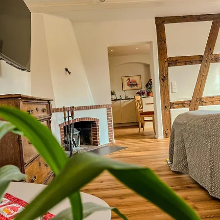 호텔 Insel-hof Hotel-garni 3*