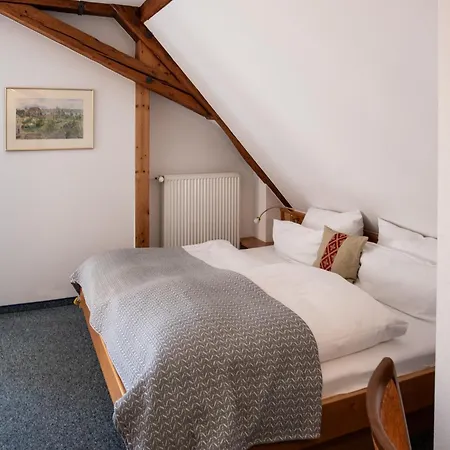 Insel-hof Hotel-garni 호텔 3*