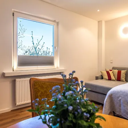 호텔 Insel-hof Hotel-garni 라이헤나우