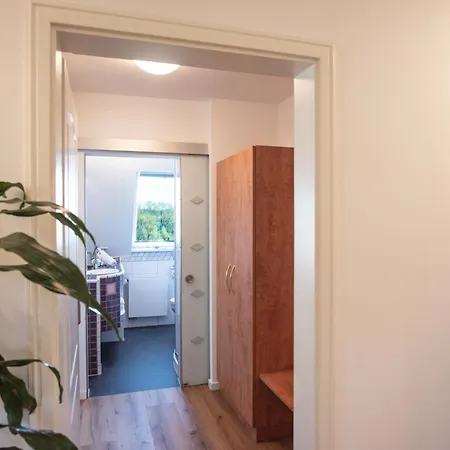 Insel-hof Hotel-garni 3* 라이헤나우
