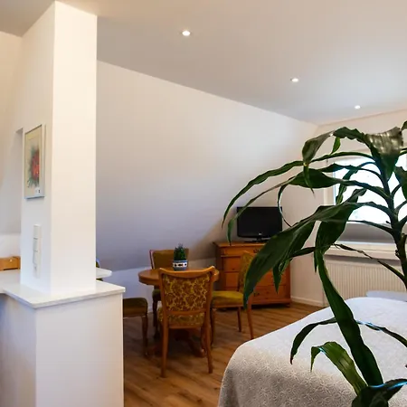 Insel-hof Hotel-garni 3*