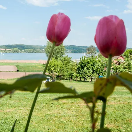 Insel-hof Hotel-garni