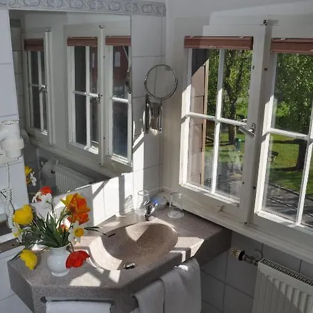 Insel-hof Hotel-garni Райхенау