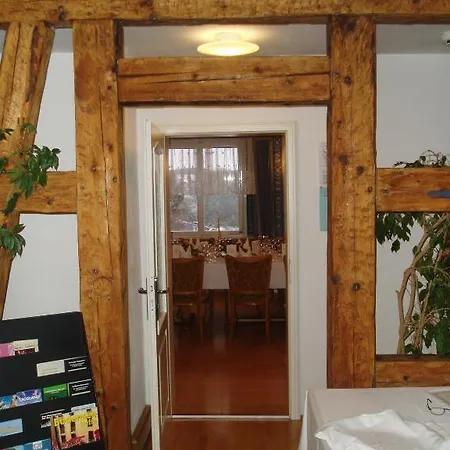 Insel-hof Hotel-garni 3* Reichenau