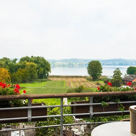Insel-hof Hotel-garni 3* 라이헤나우