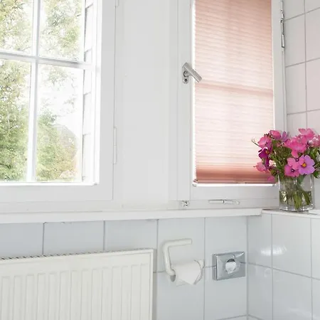 Insel-hof Hotel-garni 3* Reichenau