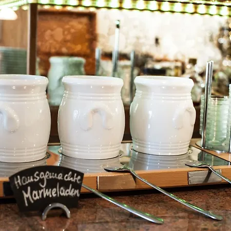 Insel-hof Hotel-garni 3* Reichenau