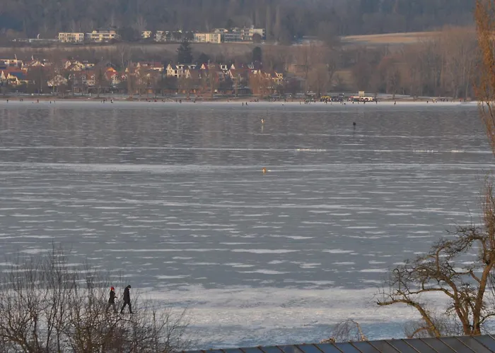 Insel-hof Hotel-garni ホテル ライヒェナウ