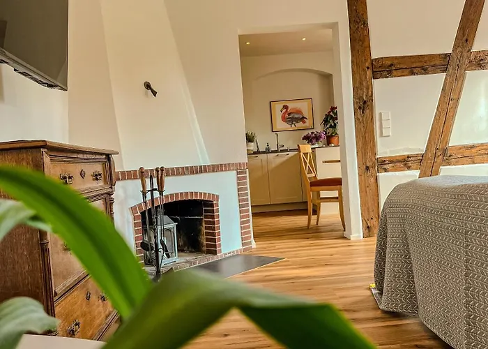 ホテル Insel-hof Hotel-garni 3*