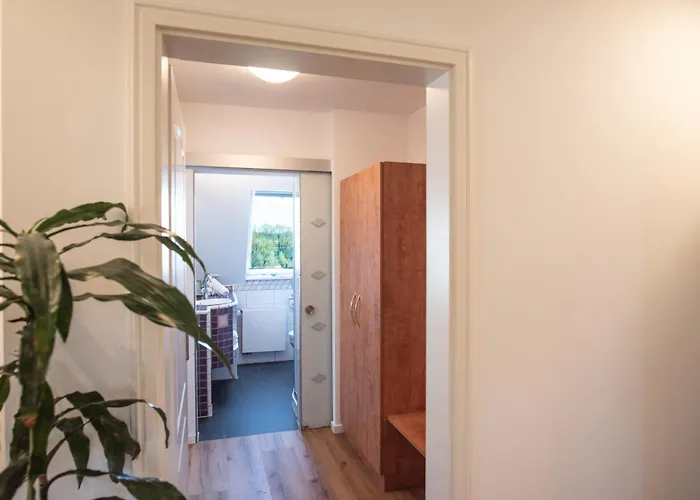 Insel-hof Hotel-garni 3* ライヒェナウ