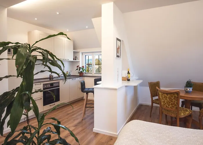 ホテル Insel-hof Hotel-garni ライヒェナウ