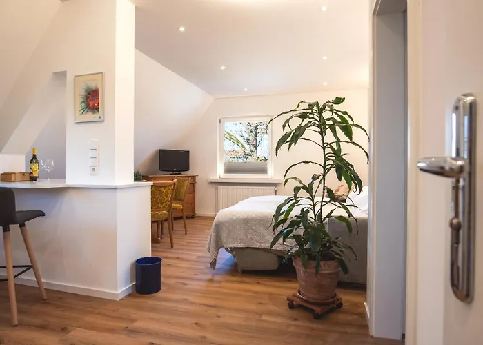 Insel-hof Hotel-garni 3*