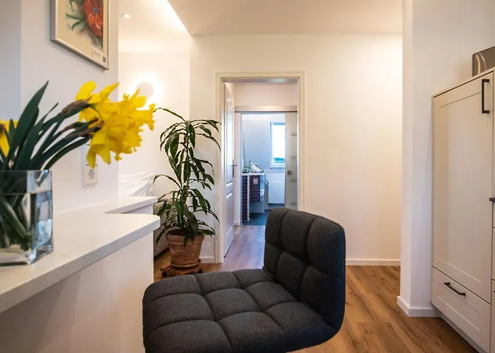 Insel-hof Hotel-garni 3* ライヒェナウ