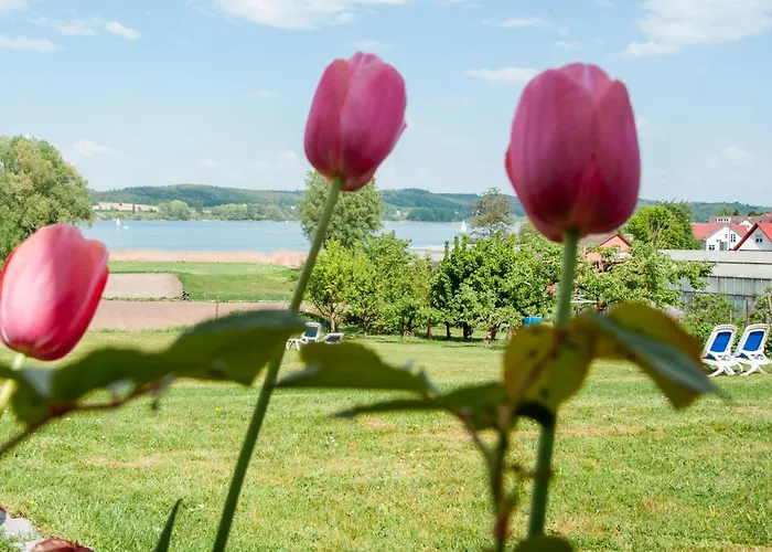 Insel-hof Hotel-garni