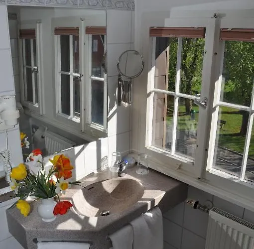 Insel-hof Hotel-garni ライヒェナウ