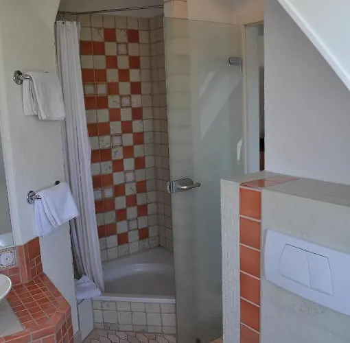 Insel-hof Hotel-garni 3* ライヒェナウ