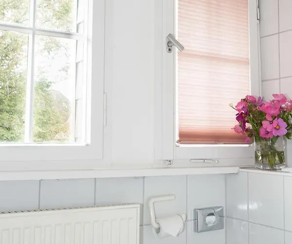 Insel-hof Hotel-garni 3* ライヒェナウ